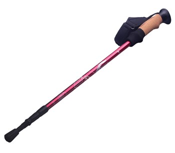 Gậy leo núi chống sốc Ryder Straight-Bar Hiking Pole G0001 - 3293