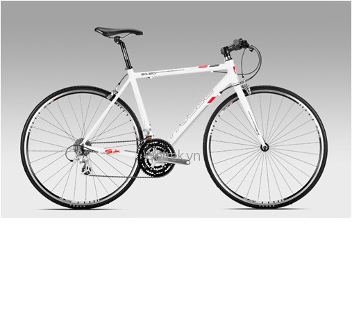 Xe đạp TRIACE S120