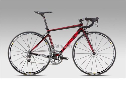 Xe đạp TRIACE C220