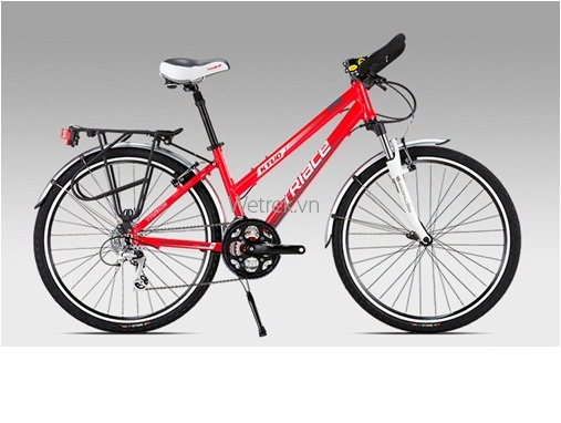 Xe đạp TRIACE M220