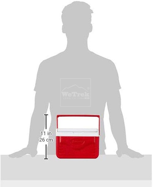 Thùng đá giữ nhiệt Coleman FlipLid 6 5205A753G  4.7L