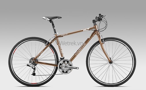Xe đạp TRIACE CITY M310