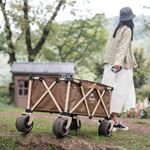 Xe kéo dã ngoại gấp gọn Naturehike Folding Cart NH20PJ010