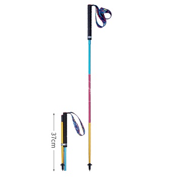 Gậy chạy bộ Aonijie Carbon Poles E4201