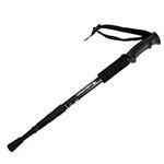 Gậy leo núi Camel Straight hiking poles 2SA7D41-1