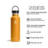 Bình nước giữ nhiệt Hydro Flask Standard Flex Cap 21 OZ S21SX