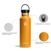 Bình nước giữ nhiệt Hydro Flask Standard Flex Cap 21 OZ S21SX