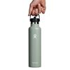 Bình nước giữ lạnh Hydro Flask Standard Flex Straw Cap 21 OZ  (Season 2024) 