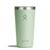 Ly giữ nhiệt 591ml Hydro Flask Around Tumbler Press-in lid 20 OZ T20CPC - Aloe 