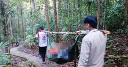 [WeNews] Nữ du khách bị đè chết vì cây rừng đổ tại Gia Lai