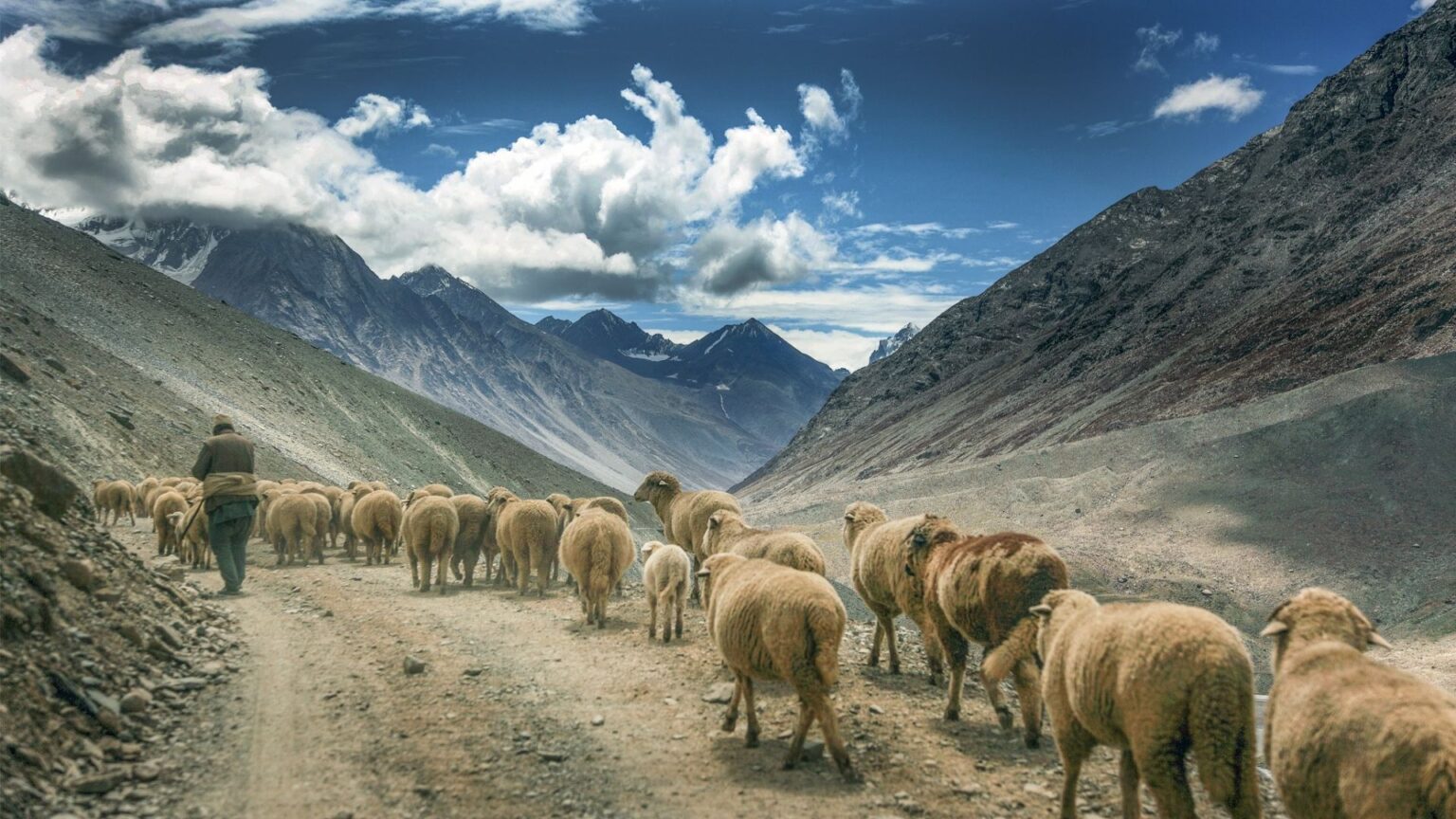 Phỏng vấn với Ashok Dilwali, Nhiếp Ảnh Gia Tuyệt Vời của Dãy Himalaya