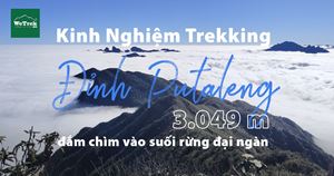 Kinh Nghiệm Trekking Đỉnh Putaleng 3.049 m đắm chìm vào suối rừng đại ngàn
