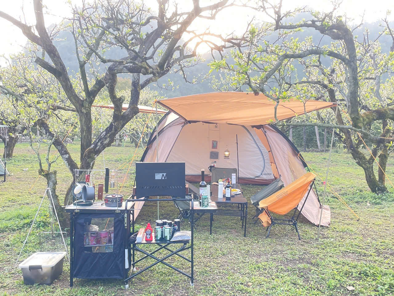 Thử thách Setup camping 2026 solo camping tent setup trong rừng
