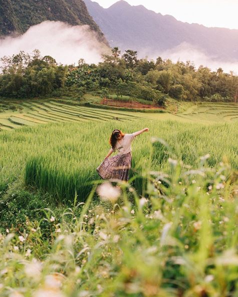 [WeNews] Kinh nghiệm ngắm lúa chín miền Bắc