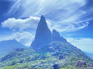 Kinh nghiệm trekking Chư Mư chi tiết từ A - Z: Đường khó, cảnh đẹp, xứng đáng chinh phục