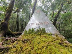 Kinh nghiệm Trekking Chư Yang Sin - Nóc nhà Đăk Lăk ẩn mình trong biển mây