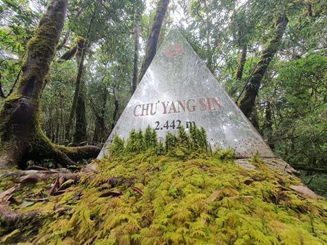 Kinh nghiệm Trekking Chư Yang Sin - Nóc nhà Đăk Lăk ẩn mình trong biển mây