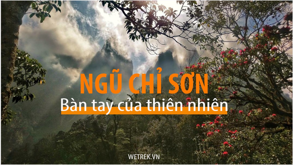 trekking ngũ chỉ sơn