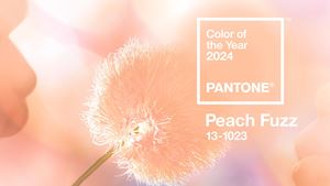  PANTONE công bố màu sắc của năm: Peach Puzz - Biểu tượng của lòng trắc ẩn và sự gắn kết