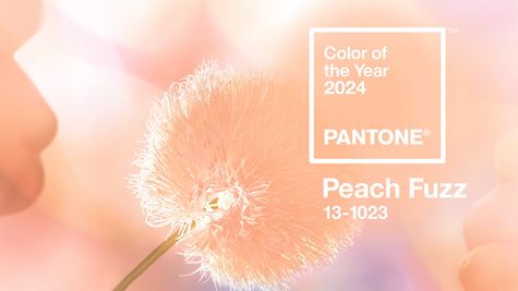  PANTONE công bố màu sắc của năm: Peach Puzz - Biểu tượng của lòng trắc ẩn và sự gắn kết