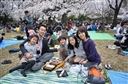[WeNews] Các hoạt động cho trẻ em khi đi du lịch Nhật Bản
