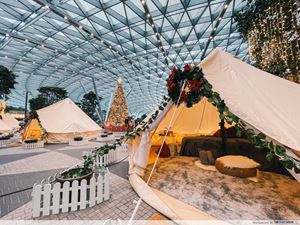 Sân bay Changi mở cửa cho khách cắm trại