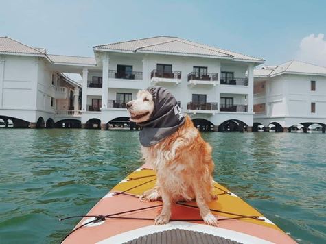 [WeNews] Chèo thuyền Kayak trên Hồ Tây - thú vui mới của giới trẻ Hà Thành