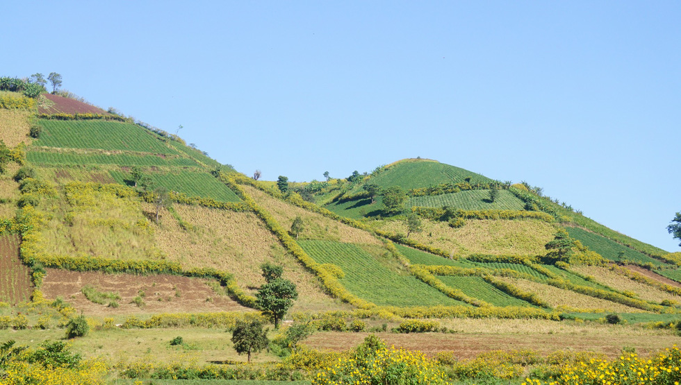 le-hoi-hoa-da-quy-khai-mac-tren-nui-lua-chu-dang-ya-wetrekvn