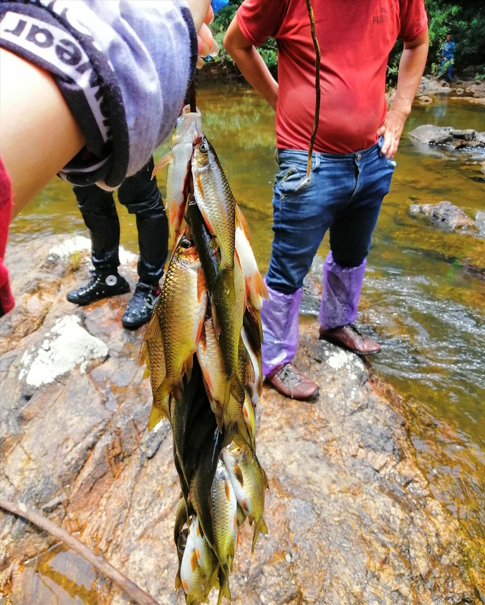 trekking-thac-hang-en-di-tim-nang-cong-chua-giua-rung-kon-chu-rang-wetrekvn