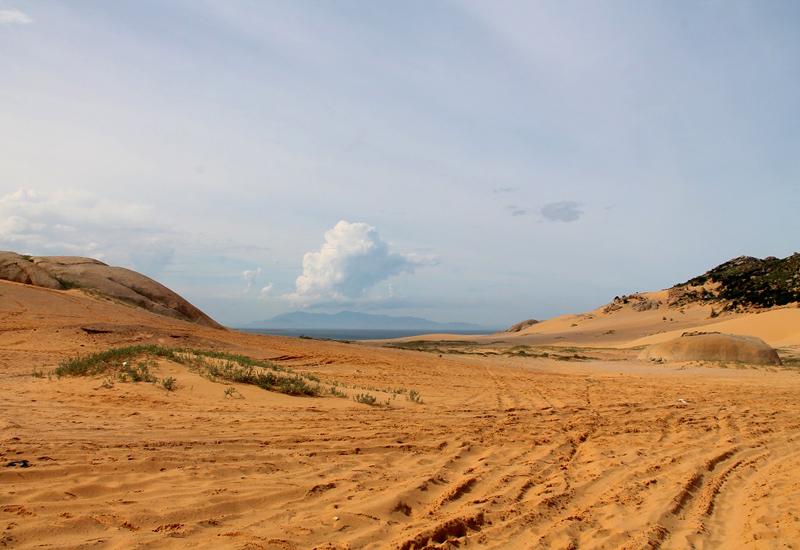 ghe-ninh-thuan-kham-pha-ve-dep-hoang-so-binh-di-o-mui-dinh-wetrekvn
