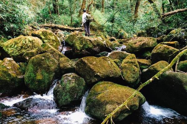 trekking-dinh-putaleng-de-duoc-dam-chim-su-huyen-bi-cua-nui-rung-lai-chau-wetrekvn