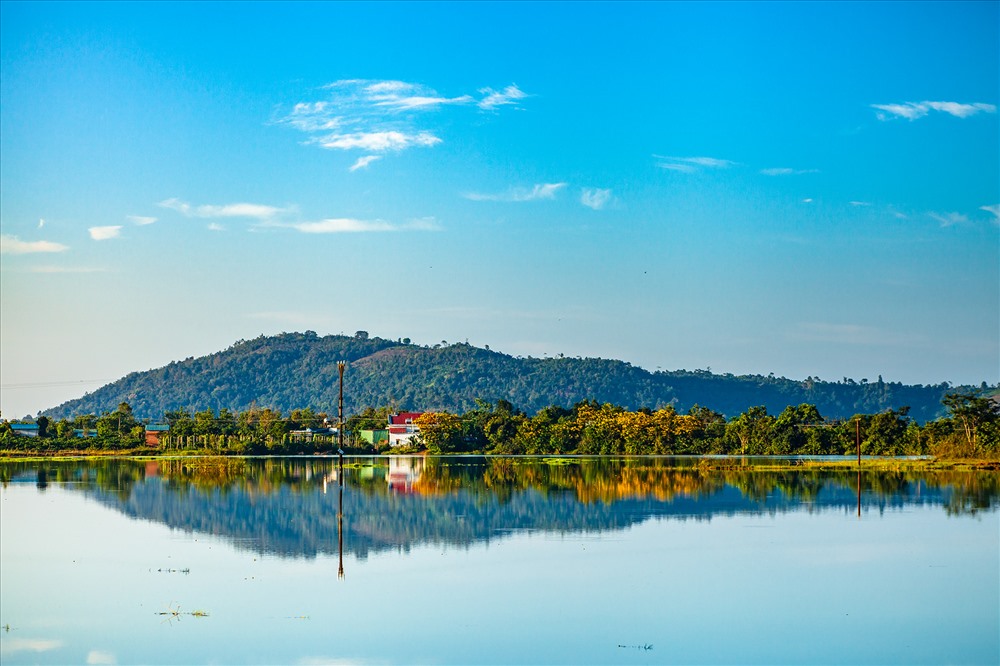 con-sot-mang-ten-hoa-muong-vang-wetrekvn