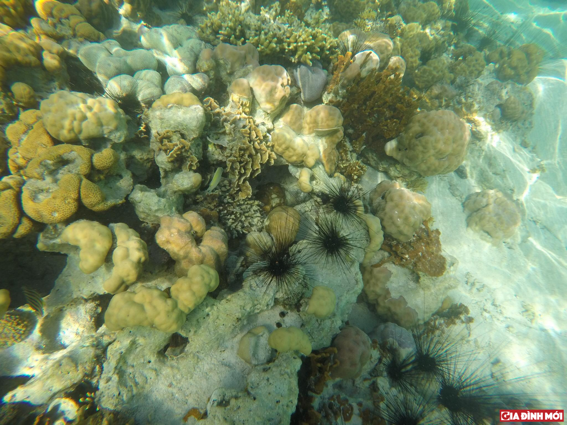 coron-palawan-co-dang-di-khong-wetrekvn