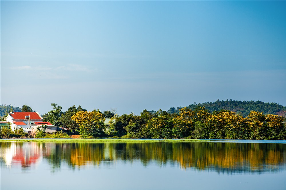 con-sot-mang-ten-hoa-muong-vang-wetrekvn