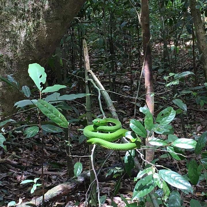 trekking-thac-hang-en-di-tim-nang-cong-chua-giua-rung-kon-chu-rang-wetrekvn
