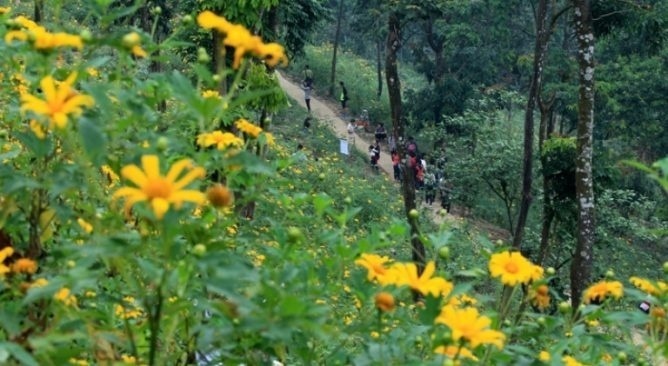 3-dia-diem-hut-khac-cuoi-tuan-nay-binh-lieu-da-lat-ba-vi-wetrekvn