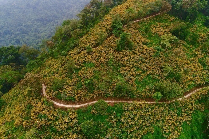 3-dia-diem-hut-khac-cuoi-tuan-nay-binh-lieu-da-lat-ba-vi-wetrekvn