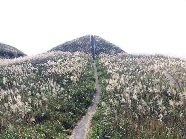 3-dia-diem-hut-khac-cuoi-tuan-nay-binh-lieu-da-lat-ba-vi-wetrekvn