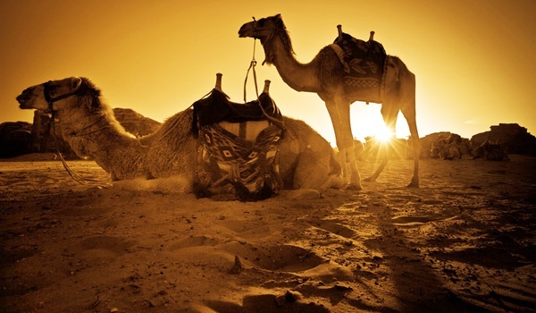ngo-ngang-voi-chuyen-phieu-luu-ky-thu-o-jordan-wetrekvn