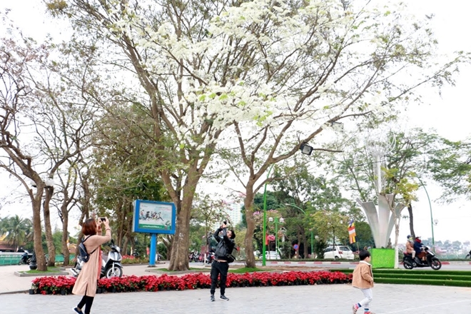 ha-noi-dep-ngo-ngang-trong-mua-hoa-sua-wetrekvn