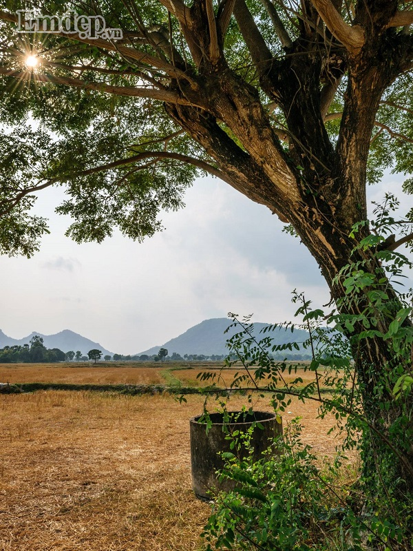 tri-ton-an-giang-hoa-minh-cung-thien-nhien-wetrekvn