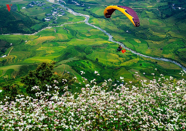 ngam-mua-vang-tai-Mu-Cang-Chai-mien-phi-duoi-goc-nhin-dai-bang-wetrekvn