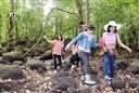 [WeNews] Điểm qua những cung đường trekking tại Đồng Nai