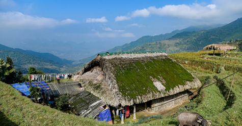 Độc đáo mái nhà sàn hàng chục năm tuổi phủ kín rêu ở Hà Giang