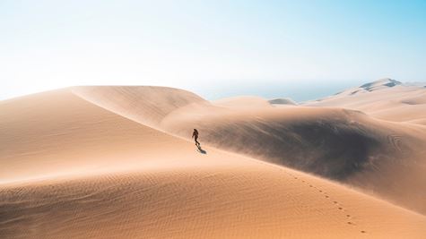 Thực sự cần bao nhiêu thức ăn và nước để tồn tại?