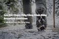 Chạy Trail Leo Núi Đỉnh Cao: Review Đế Đinh Snowline Chainsen