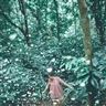 [WeNews] Hành trình về với thiên nhiên và trải nghiệm nét hoang sơ của rừng Cúc Phương