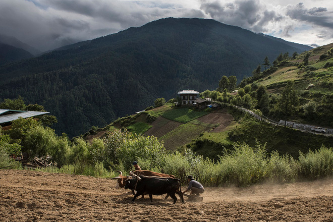 bhutan