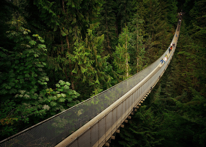 10-cay-cau-treo-an-tuong-tren-the-gioi