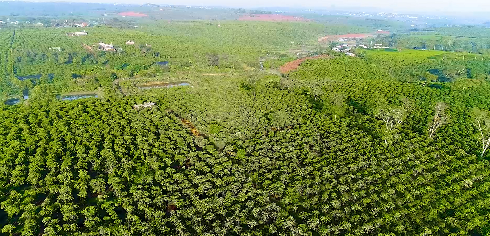 kham-pha-bao-loc-vien-ngoc-tho-dep-de